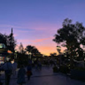 Meet your Posher, Callie